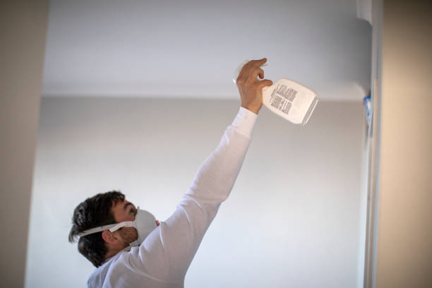 Attic Mold Removal in Freeland, WA